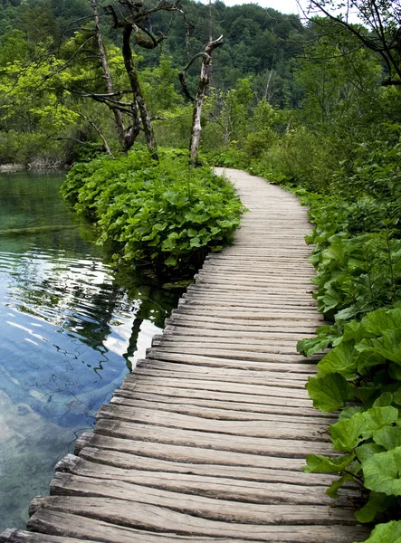 Plitvice 'deki ahşap köprü