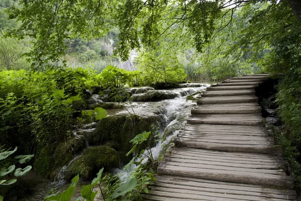 Ponte di legno a Plitvice — Foto Stock