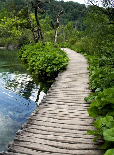 Ponte de madeira em Plitvice — Fotografia de Stock