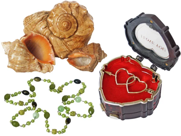 Cockleshells, a musical casket and beads — Stock Photo, Image
