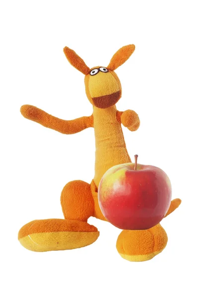 Känguru und ein Apfel — Stockfoto
