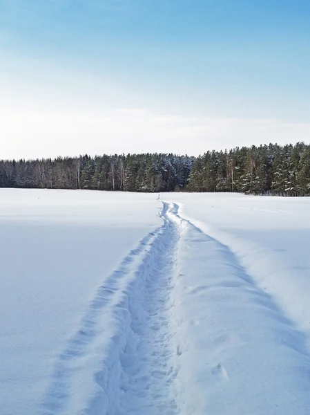 Fußweg auf einem Schneefeld Stockbild