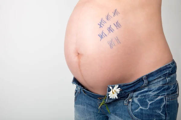 Mulher grávida Fotos De Bancos De Imagens
