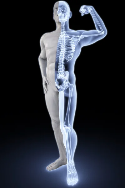 Спортсмен под рентгеном — стоковое фото