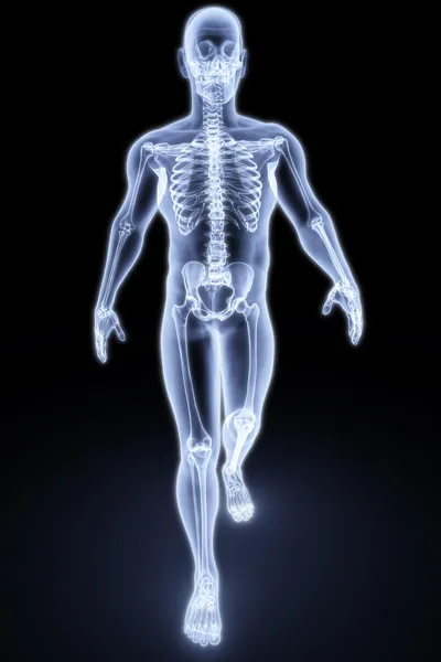 Человеческий рентген — стоковое фото