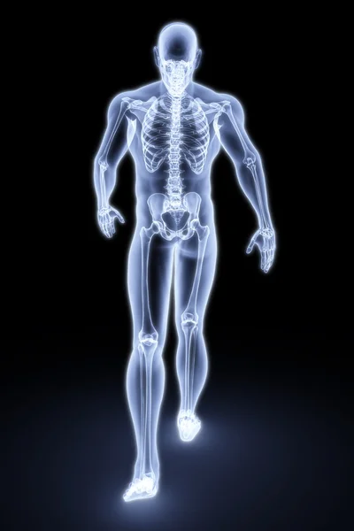 Menschliches Röntgenbild — Stockfoto