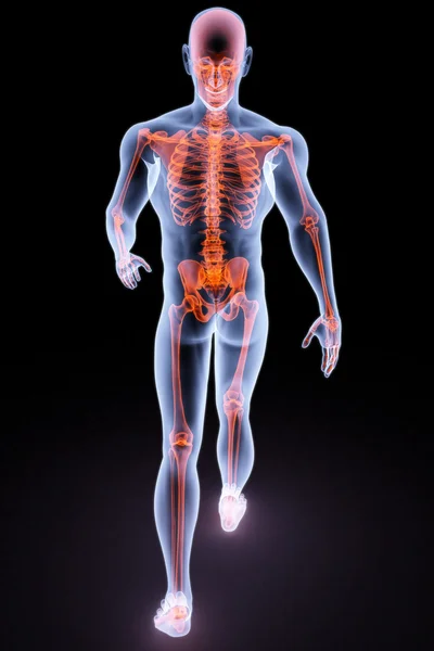 Raio-X humano — Fotografia de Stock