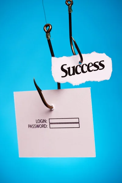 Success and login On Hook — Stock Photo, Image