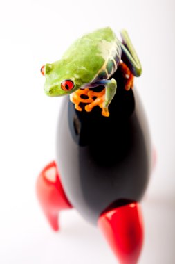 Rocket toy with frog