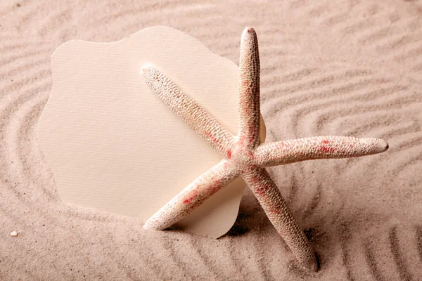 砂貝殻と ！最高の休日 — ストック写真