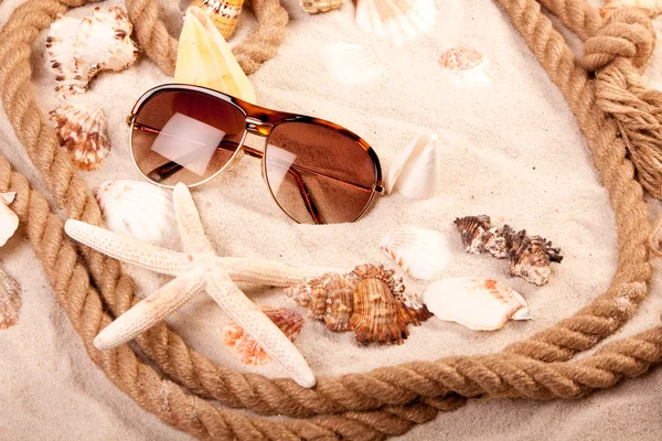 Sand, snäckor och mer! bästa semester — Stockfoto
