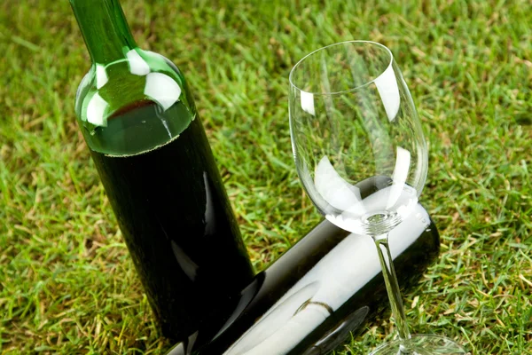 Vin picknick — Stockfoto
