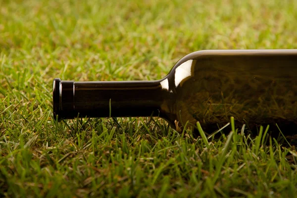 Wine bootle on grass — Stock Photo, Image