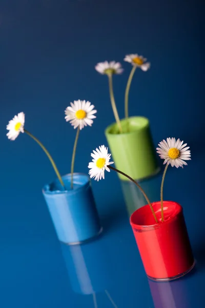 stock image Flower Paints