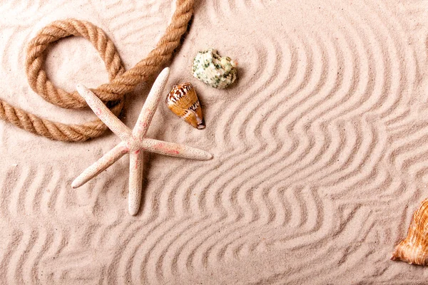 Areia, conchas e muito mais! Melhores férias — Fotografia de Stock