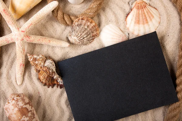 Sand, shells and more! Best Holidays — Stock Photo, Image