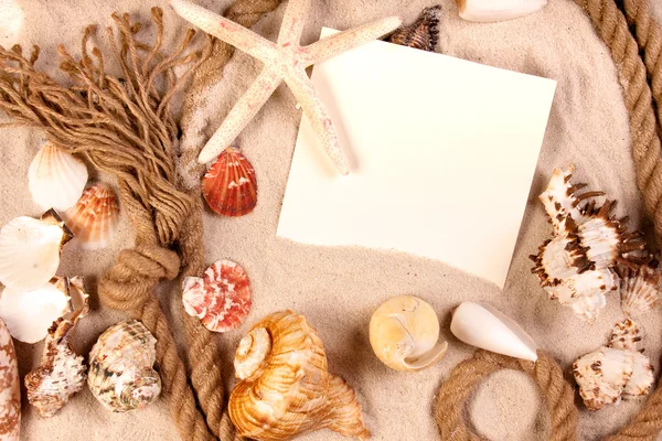 Areia, conchas e muito mais! Melhores férias — Fotografia de Stock