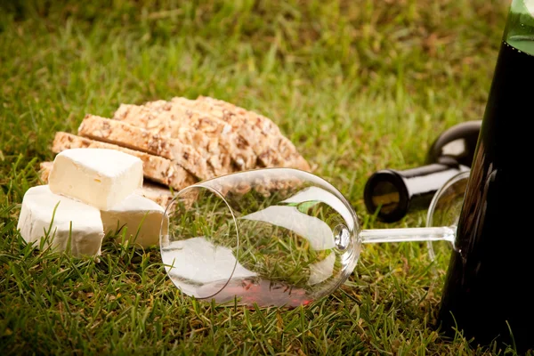 Vin picknick på gräs — Stockfoto