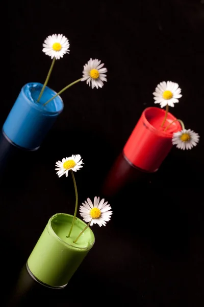 Çiçek boyalar — Stok fotoğraf