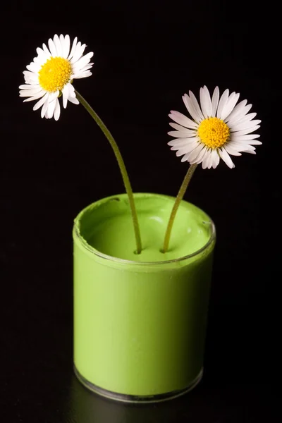Flower Paint bucket — Stock Photo, Image