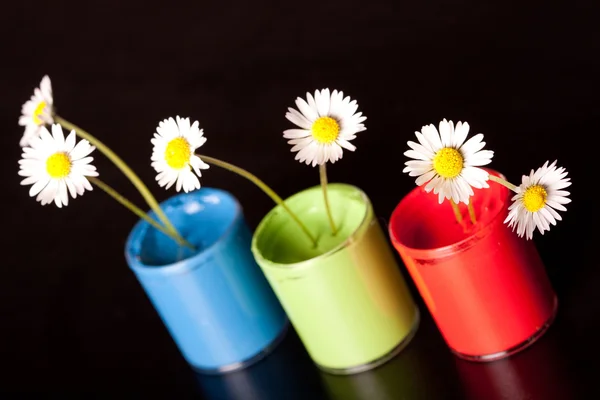 stock image Flower Paints