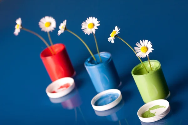 Blomma färg — Stockfoto