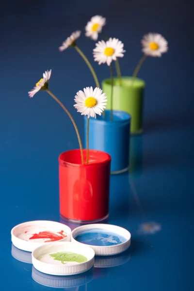 Barvy květin — Stock fotografie