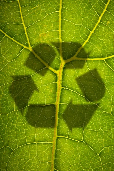 Sombra de reciclar emblemat — Foto de Stock