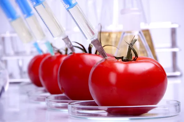 Alimentos geneticamente modificados — Fotografia de Stock