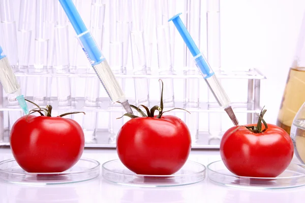 Alimentos modificados genéticamente — Foto de Stock