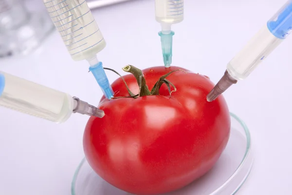 Geneticly modifikované potraviny — Stock fotografie