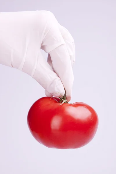 Geneticly Modified food — Stock Photo, Image