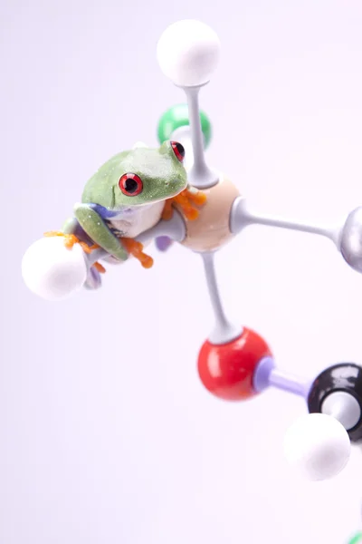 Molecole in laboratorio ! — Foto Stock