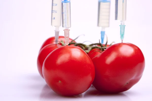 Geneticly modifikované potraviny — Stock fotografie