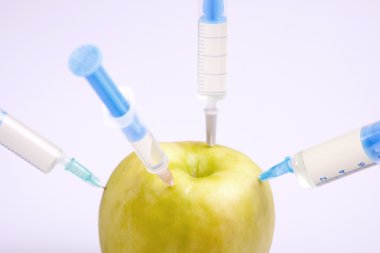 geneticly değiştirilmiş gıda