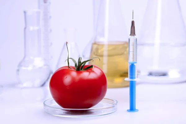 Alimentos geneticamente modificados — Fotografia de Stock