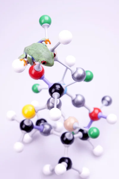 Moleculen in laboratorium! — Stockfoto