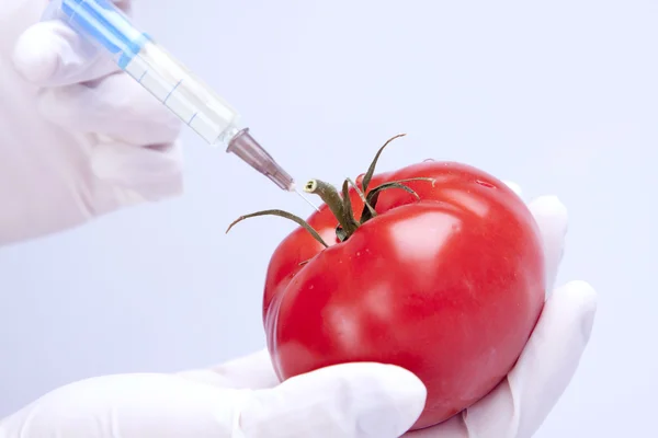 Geneticly değiştirilmiş gıda — Stok fotoğraf