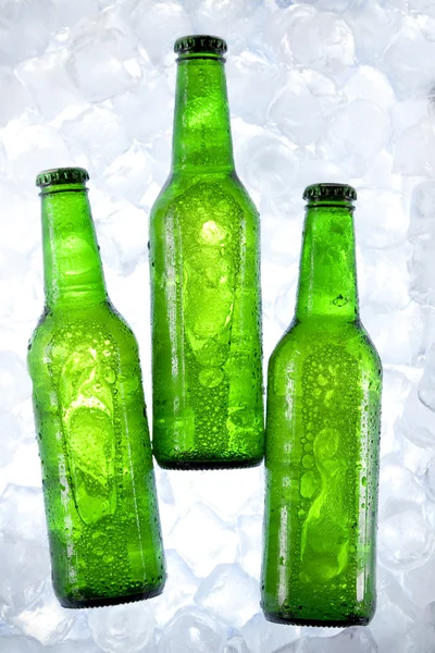 Cerveza fría! —  Fotos de Stock