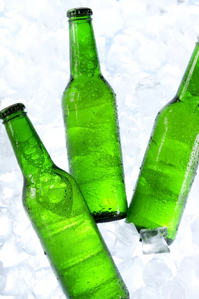 stock image Cold beer!