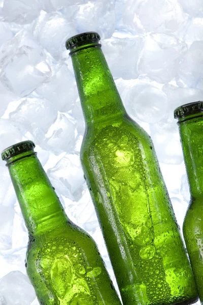 Heerlijke bier! — Stockfoto