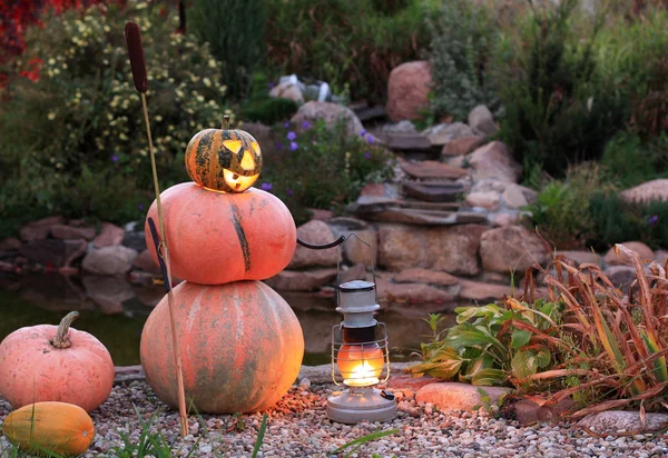 stock image Halloween pumpkin