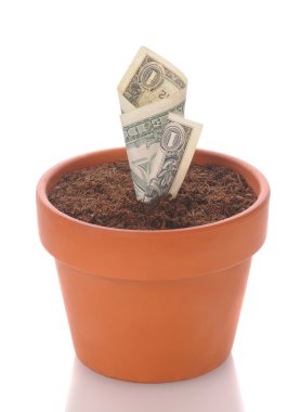 Dollar Growing in Flower Pot clipart