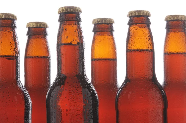 Nahaufnahme Bierflaschen — Stockfoto