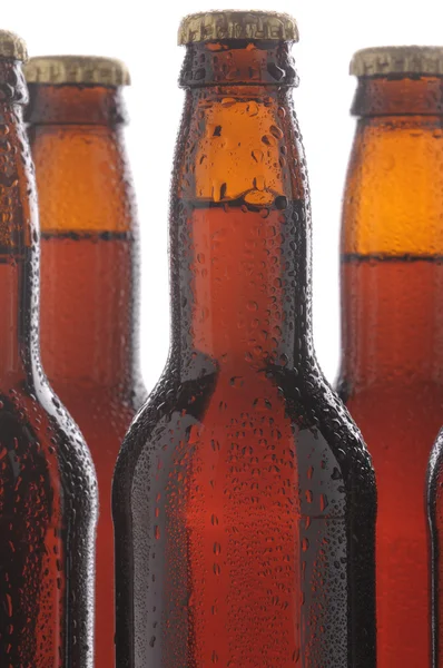 Botellas de Cerveza Primer plano — Foto de Stock