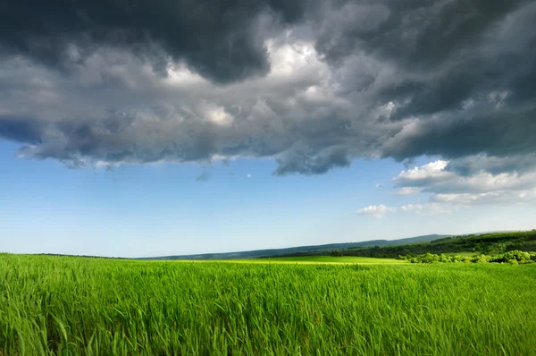 Campo verde fresco, cielo azul dramático y nubes grises — Foto de Stock
