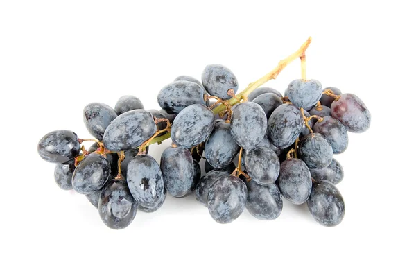 Grappe de raisins — Photo