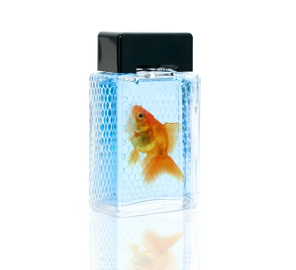 Parfumfles met gouden vis — Stockfoto