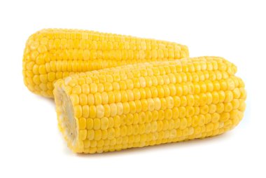 Ripe corn clipart