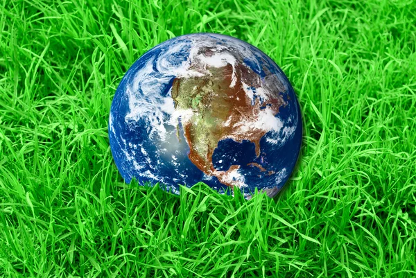 Aarde op het groene gras — Stockfoto